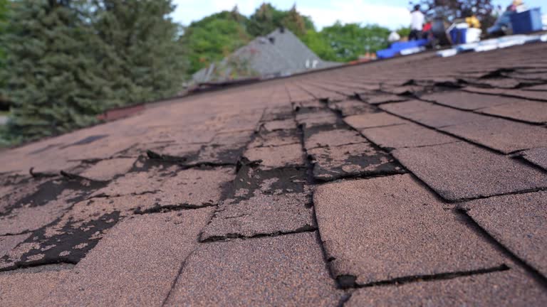 Best Roof Maintenance and Cleaning  in Capron, IL