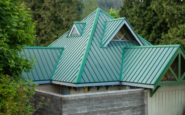 Best Roof Maintenance and Cleaning  in Capron, IL