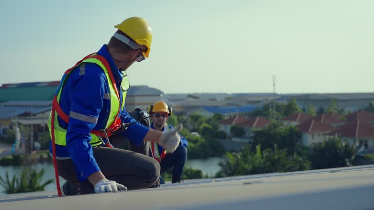 Best Gutter Replacement  in Capron, IL
