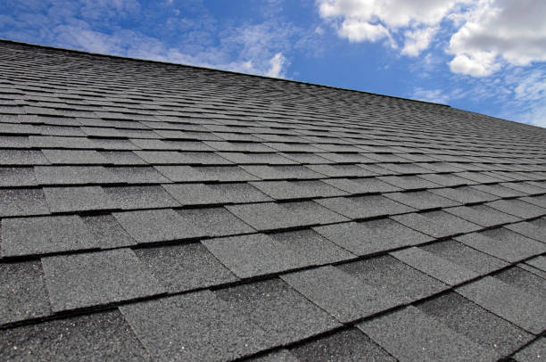 Best Gutter Installation and Repair  in Capron, IL